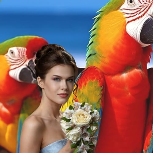 Beach Parrots Backdrop Background for Photography 5x7ft Photobooth Professional Photo Backdrop Curtains Video Photography Studio Photo Backgrounds Banner Booth Background Screen Parties - color: Beach Parrots