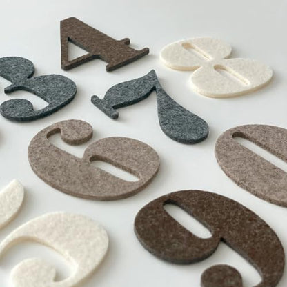 Felt Speech Bubble Baby Monthly Milestone Signs, First Year Baby Photo Prop | Birth Announcement, Growth Tracking, Gender Neutral Baby Shower, Newborn Gift (Neutral) - color: Neutral