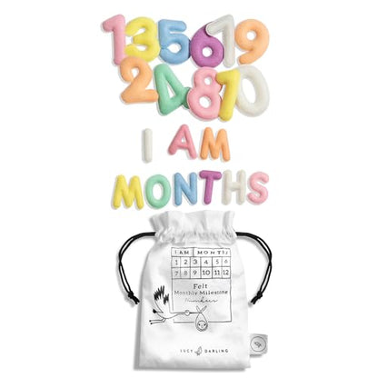 Lucy Darling Felt Baby Monthly Milestone Numbers – Signs & Photo Props – Soft Letters & Numbers for Baby Announcement, Newborn Photography – Pastel - color: Pastel