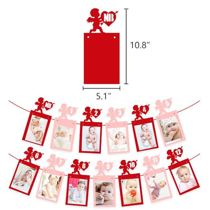 Valentine’s Day 12 Months Photo Banner Heart Theme Garland Pink Red Valentine's Day 1st Birthday Party Newborn First Year Decor