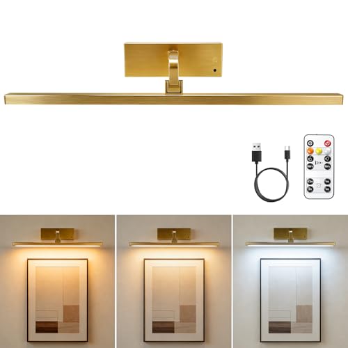 Picture Light for Wall Painting Lighting,Remote Control Art Display Light,3 Lighting Colors Brightness Dimmable Timer Auto-Off,High Lighting Your Gallery Poster Portrait Frame Dartboard - color: Gold