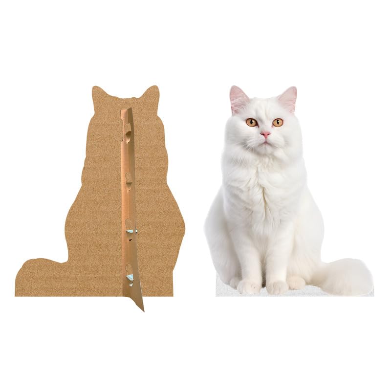 CAT - Snow Lynx - Life Size Cardboard Cutout Standup People with Support Standee | Animals - - color: Cat - Snow Lynx