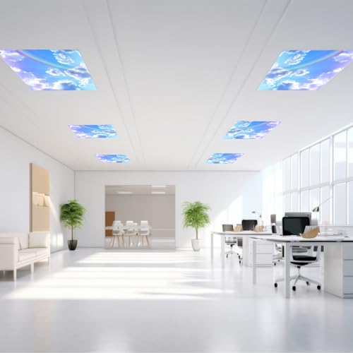 Outus 4 Pcs Fluorescent Light Cover Classroom Lighting Cover with 10 Magnets Light Filter Magnetic Ceiling Panel Decoration 2 x 4 ft (23.62 x 47.24 Inch) Reduce Glare for Office School(Sky) - style: Sky