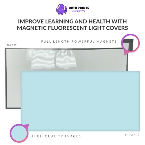 OCTO LIGHTS Magnetic Light Covers for Ceiling Lights Classroom Fluorescent Light Covers Solid Light Blue 2x4 Ceiling Light Cover for Classroom Lights, Office, and Medical Spaces (Pack of 1) - color: Light Blue