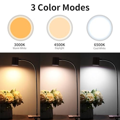Dott Arts Desk Lamp,USB Clip On Light with 3 Color Modes,LED 10 Levels Brightness Reading Lamp, 360°Gooseneck Book Light,Eye-Care Reading Light for Home Office,Headboards Pink - color: Pink