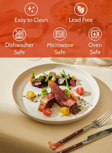Sweese Porcelain Dinner Plates Set, 10 Inch, Round Salad Plates, Dove Gray - Dishwasher, Microwave Oven Safe - color: Light Grey, size: 10 Inch
