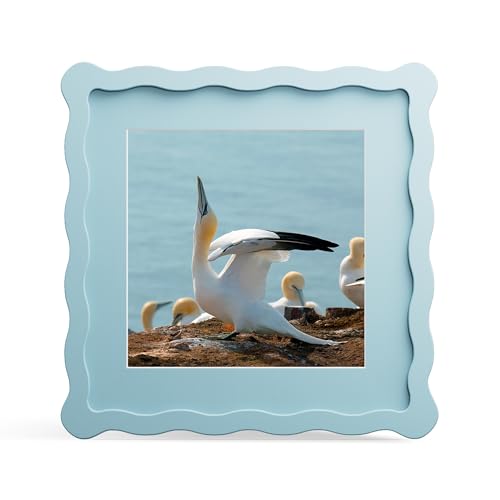 8x8 Picture Frame with Mat for 6x6, Wavy Edge Wooden Real Glass Photo Frame for Tabletop and Wall Hanging, Blue, 1 Pack - color: Blue, size: 8x8 in