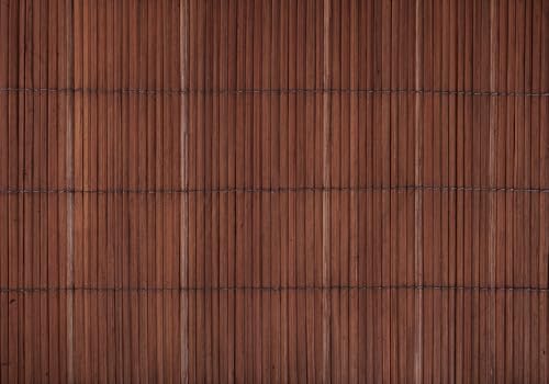 Dark Brown Bamboo Reed Mat Vertical Lines Backdrop Natural Wood Slat Texture Background for Asian Theme Party Decorations Zen Home Wall Decor Photo Studio Props 8X6ft Fabric - size: 8X6ft