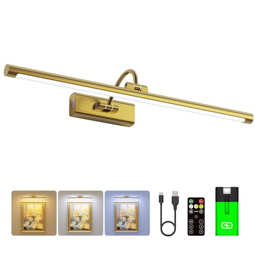 24" Picture Frame Light with 1pcs Extra 8000mAh Battery - Brass Cordless Rechargeable Wall Sconce with Remote for Office, Hallway & Large Art - color: Brass, size: 24 Inch (1 Extra Battery)
