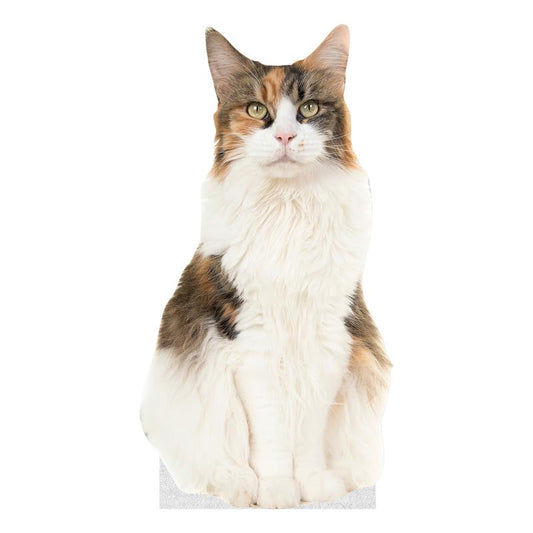 CAT - Calico CAT - Life Size Cardboard Cutout Standup People with Support Standee | Animals - - color: Cat - Calico Cat