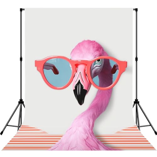 Hello Glasses Flamingo Backdrop Background for Photography 5x7ft Photobooth Professional Photo Backdrop Curtains Video Photography Studio Photo Backgrounds Banner Booth Background Screen Parties - color: Hello Glasses Flamingo