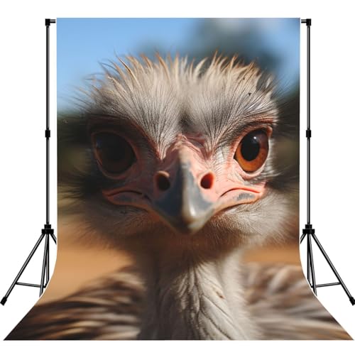 Cute Ostrich Backdrop Background for Photography 5x7ft Photobooth Professional Photo Backdrop Curtains Video Photography Studio Photo Backgrounds Banner Booth Background Screen Parties - color: Cute Ostrich