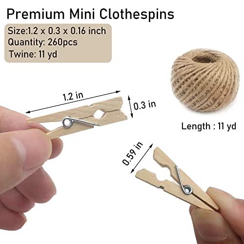 Mini Clothes Pins, 260 PCS Small Wooden Clothes Pin with Jute Twine, Clothespins, Clothes Pins for Photos Crafts DIY Project - color: Wooden, size: 1.2inch/260Pcs