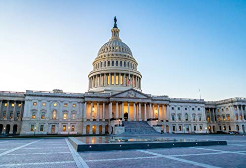 Haoyiyi 7x5ft Vinyl Building Photography Backdrop Capitol Building in Washington DC Flag Square Gothic Style Architecture Background for Kids Adult Wedding Personal Portrait Photo Shoot Props