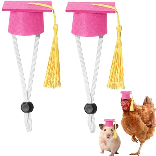 Eccliy 2 Pcs Pet Graduation Caps Mini Bachelor Hats with Tassel for Small Animal Guinea Pigs Hedgehog Bird Turtles Hamster Photo Props Graduation Festival Holiday Party Accessory (Pink Gold) - color: Pink Gold
