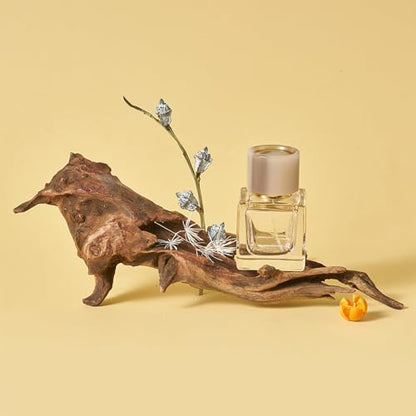 14PCS Product Photography Props：Natural Sunken Wood Photography Props with Imitation Moss Dried Flowers- Small Items Photo Props for Jewelry Cosmetics Perfume
