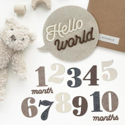 Felt Speech Bubble Baby Monthly Milestone Signs, First Year Baby Photo Prop | Birth Announcement, Growth Tracking, Gender Neutral Baby Shower, Newborn Gift (Neutral) - color: Neutral