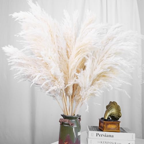 60 PCS Boho Decor, Fluffy Pompas Grass, Natural Dry Pampas Grass Small, Short Pampass Bulk for Boho Room Decor, Coffee Table Decor (17 inch ) - size: 60PCS-Natural and White