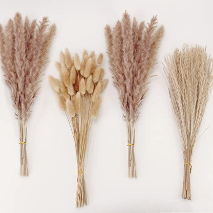 Natural Dried Pampas Grass Decor, Brown Pampas Grass， Bunny Tails Dried Flowers, Reed Grass Bouquet for Wedding Boho Flowers Home Table Decor, Fall Decor，Rustic Farmhouse Party (100 in Total ) - size: 100cps-brown