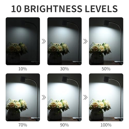 Dott Arts Desk Lamp,USB Clip On Light with 3 Color Modes,LED 10 Levels Brightness Reading Lamp, 360°Gooseneck Book Light,Eye-Care Reading Light for Home Office,Headboards White - color: White