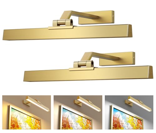Afyuol Picture Lights for Wall, Brushed Gold Battery Operated Picture Light 16in Art Light CCT Dimmable Recharging Battery Wall Light with Remote Control for Living Room Gallery 2PCS - color: Brushed Gold, size: 2PCS16in