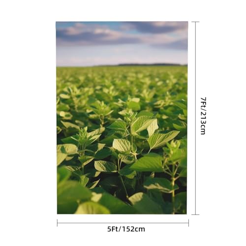 Soybean Field Backdrop Background for Photography 5x7ft Photobooth Professional Photo Backdrop Curtains Video Photography Studio Photo Backgrounds Banner Booth Background Screen Parties - color: Soybean Field