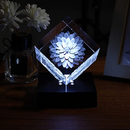 Facmogu LED Lights Base for Crystal 3D Glass Art, Plactic Pedestal Color Show Stand for Crystal Awards, Trophies, Statues, Figurines,USB Powered LED Display Base Stand (White) - color: White