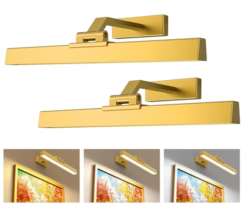 Afyuol Picture Lights for Wall, Battery Operated Picture Light 16in Art Light CCT Dimmable Recharging Battery Wall Light with Remote Control for Living Room Gallery Gold 2PCS - color: Gold, size: 2PCS16in
