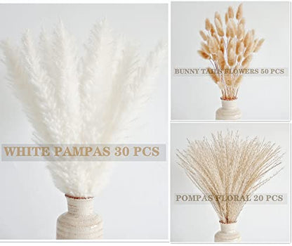 Natural Dried Pampas Grass Decor, White Pampas Grass， Bunny Tails Dried Flowers, Reed Grass Bouquet for Wedding Boho Flowers Home Table Decor, Rustic Farmhouse Party (100 in Total ) - size: 100pcs-white