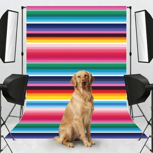 Colorful Mexican Stripes Backdrop Background for Photography 5x7ft Photobooth Professional Photo Backdrop Curtains Video Photography Studio Photo Backgrounds Banner Booth Background Screen Parties - color: Colorful Mexican Stripes