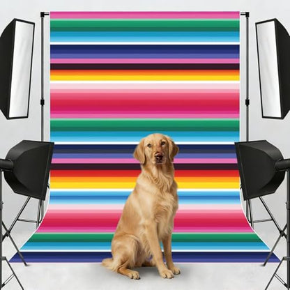 Colorful Mexican Stripes Backdrop Background for Photography 5x7ft Photobooth Professional Photo Backdrop Curtains Video Photography Studio Photo Backgrounds Banner Booth Background Screen Parties - color: Colorful Mexican Stripes