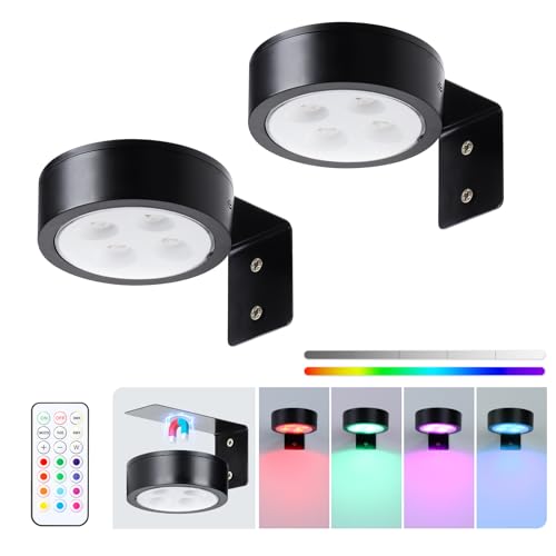 2-Pack Wireless Battery Operated Painting Light with Remote Control,13 Color RGB Magnetic Led Art Display Light for Picture Frame, Dimmable and Timer Painting Light, Wall Decor Black display light - color: Black RGB 2 Pack