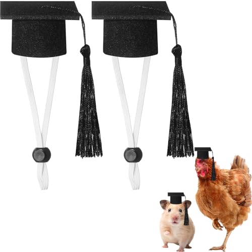 Eccliy 2 Pcs Pet Graduation Caps Mini Bachelor Hats with Tassel for Small Animal Guinea Pigs Hedgehog Bird Turtles Hamster Photo Props Graduation Holiday Festival Party Accessory(Black) - color: Black