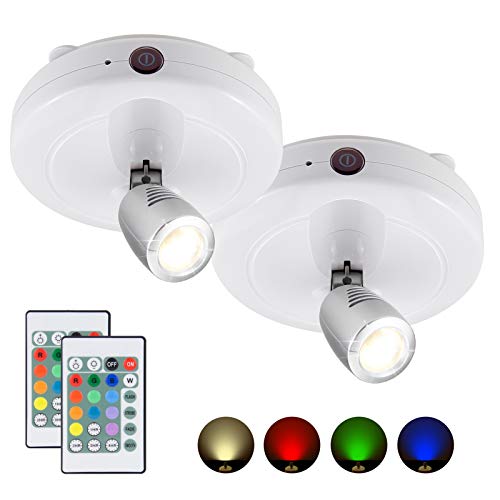 BIGMONAT LED Spotlight for Pictures Battery Operated, Dimmable Uplight with Remote and Timer for Art Painting, Color Changing Accent Lighing for Tree Plant Dart Board, 2Pack - color: White+Silver 2 Pack, size: Battery Powered