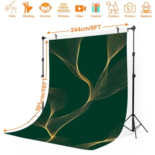 Photography Backdrop Photography Background Luxury Golden Emerald Abstract Gold line Arts Texture Green Emerald for Photoshoot Portrait Photo Studio Video Prop Birthday Party Booth Decor 10x8ft