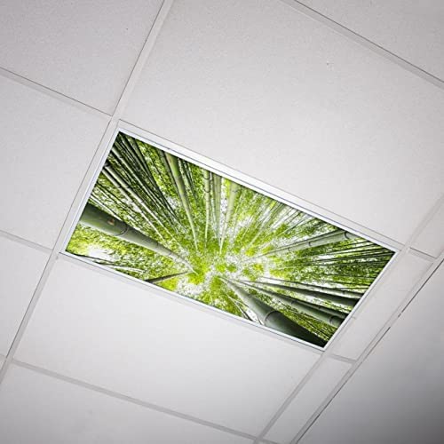 OCTO LIGHTS Tree Fluorescent Light Covers 2x4 Fixtures (22.38" x 46.5") Ceiling Light Cover for Classroom and Office, Decorative Light Covers for Ceiling Lights, Office Light Covers - (Pack of 1) - color: Bamboo Tree, size: 1pk