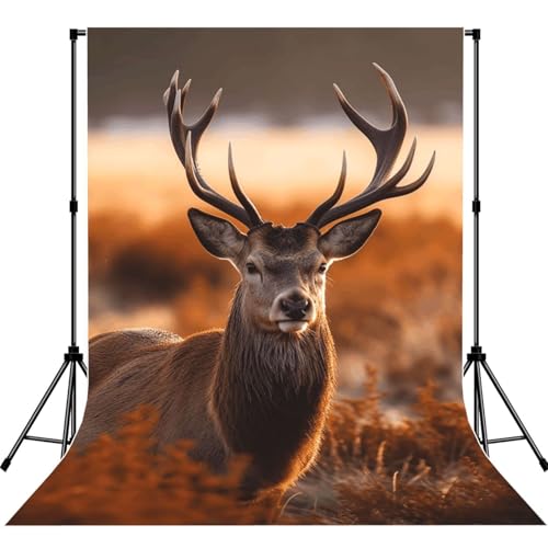 Antler Red Deer Backdrop Background for Photography 5x7ft Photobooth Professional Photo Backdrop Curtains Video Photography Studio Photo Backgrounds Banner Booth Background Screen Parties - color: Antler Red Deer
