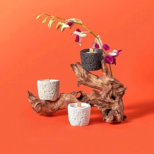 24 Colors Small Product Backdrops Photography Background Paper with Stand 12PCS 34x17inch Flat Lay Backdrop for Cosmetics Jewelry Products and Food