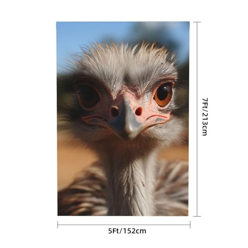 Cute Ostrich Backdrop Background for Photography 5x7ft Photobooth Professional Photo Backdrop Curtains Video Photography Studio Photo Backgrounds Banner Booth Background Screen Parties - color: Cute Ostrich