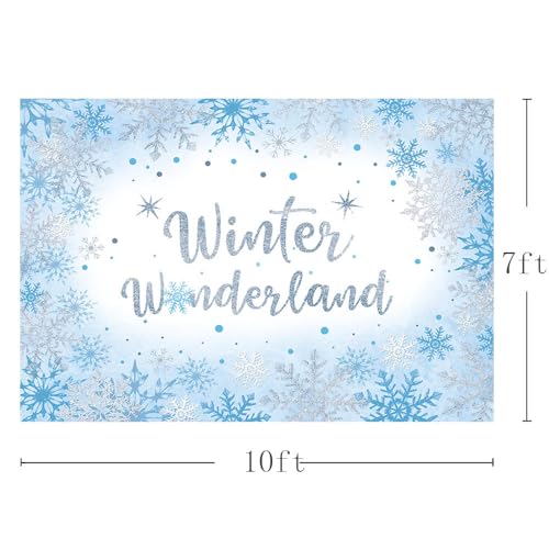 AIBIIN 10x7ft Winter Wonderland Backdrop for Photography Winter Wonderland Baby Shower Backdrop for Boys Baby It's Cold Outside Blue Snowflake Decorations Banner Photo Props Supplies - size: 10x7ft