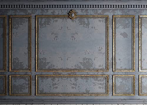 6x6ft Fabric Classic Gray Panels Backdrop Golden European Frame Vintage Wall Retro Golden Stucco Panels Wall Backdrop Houses Flats Interior Decor Wedding Baby Shower Photo Studio Props - size: 6x6FT