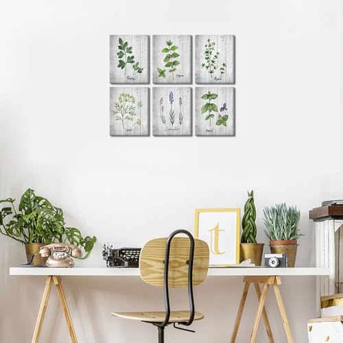 Yatsen Bridge Kitchen Wall Art Canvas Print Set Botanical Herbs Art Poster Various Green Plant Painting Wood Texture Background Picture Artwork for Home Decorations Framed Ready to Hang - 8"x10" - color: Flower-02