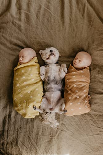 Mini Wander Swaddles for Newborns Muslin Swaddle Blankets - Breathable Soft Gender Neutral Receiving Blanket Baby Essentials | 47 x 47 Cotton - Boho Squares (Coconut) - color: Boho Squares (Coconut)