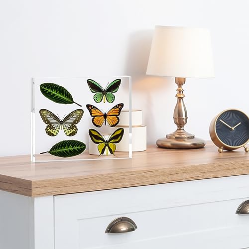 TWING 6 Pack 8 x 10 Acrylic Picture Frames, Magnetic Lucite Clear Picture Frame, 8 by 10 Magnetic Photo Frame Self Standing Double Sided, Gift - size: 8x10" 6pack