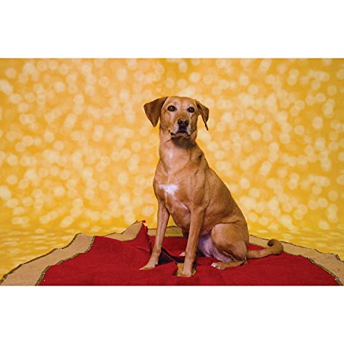 Ella Bella Photography Backdrop Paper, Assorted Bokeh (1 ea.: Gold, Blue, Gray & Red), 48" x 12', 4 Rolls - style: Assorted Bokeh