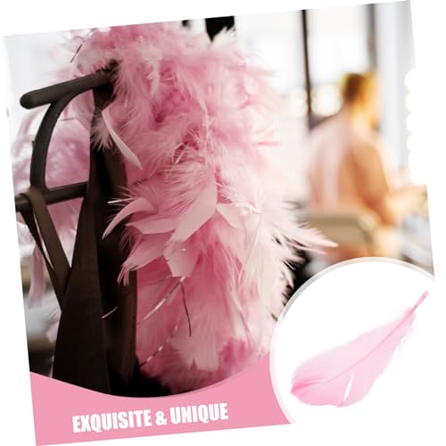 LALAFINA 15pcs Unique Plume Decorations Decorative Plume Props for Vanity Table Photo Displays for Home Decor Cosmetics Showcases