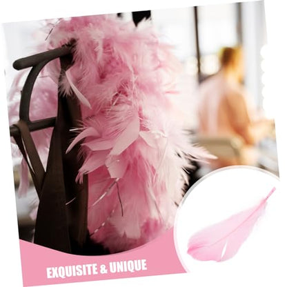 LALAFINA 15pcs Unique Plume Decorations Decorative Plume Props for Vanity Table Photo Displays for Home Decor Cosmetics Showcases