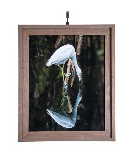Situ Lighting: Cordless and Rechargeable LED Art and Picture Light - Rechargeable Micro Series - 3000K - USA Made. - color: Oil-Rubbed Bronze, size: Short 8" (Artwork up to 18"W x 24"T)