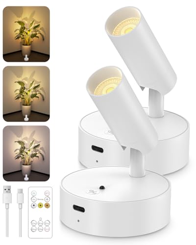 GOODEA Spotlights Indoor with Remote, 3000mAh Rechargeable Battery Plant Spotlight Indoor, Wireless Uplights with 3 Colors & Dimmable, Picture Light for Painting, Accent Lighting(2 Pack, White) - color: White