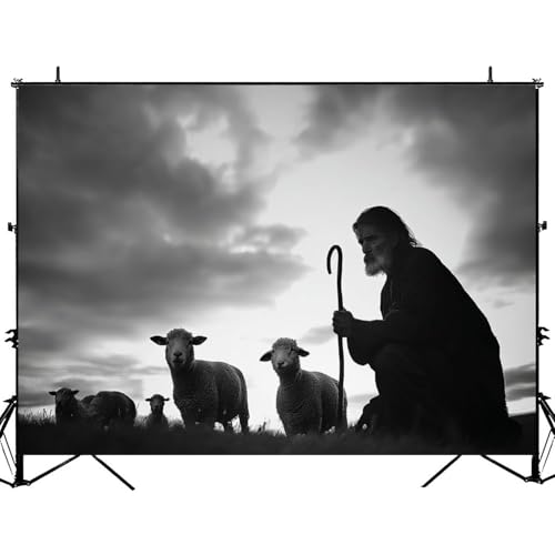 5x7ft Photography Backdrop Shepherd Tending Sheep Sunrise Landscape Photo Backdrop Photography Background for Photoshoot Portrait Video Party Photo Studio Prop Booth - color: Color4